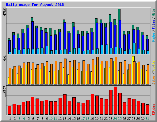 Daily usage for August 2013