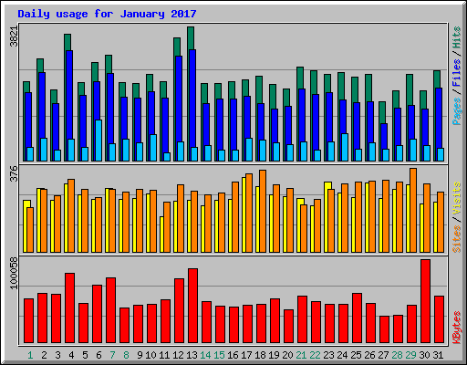 Daily usage for January 2017