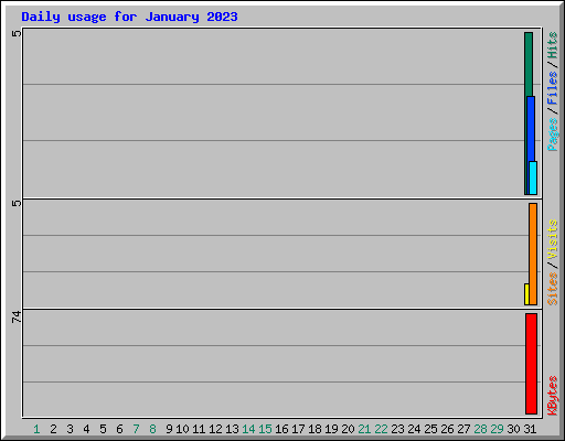 Daily usage for January 2023