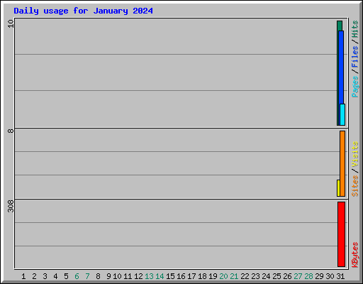 Daily usage for January 2024
