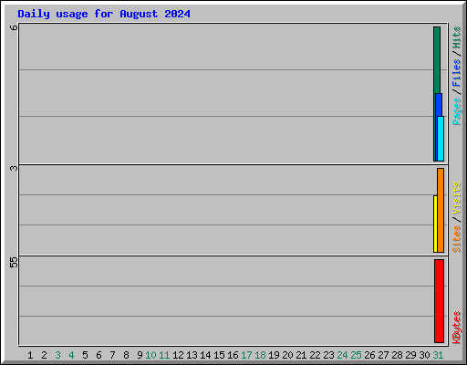 Daily usage for August 2024