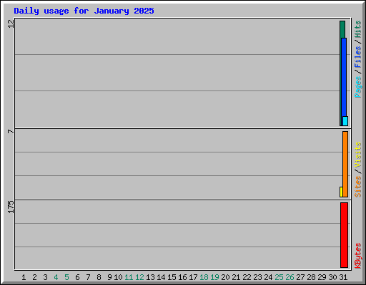 Daily usage for January 2025