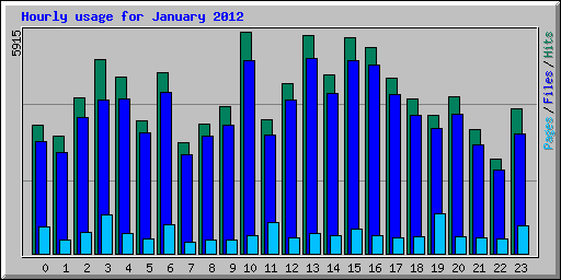 Hourly usage for January 2012