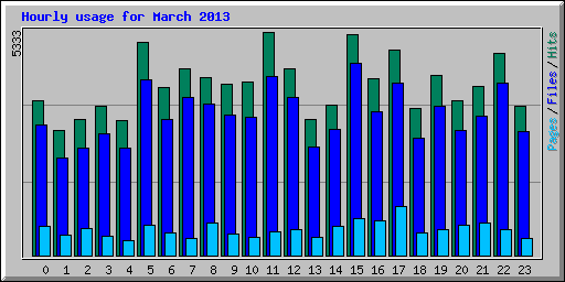 Hourly usage for March 2013
