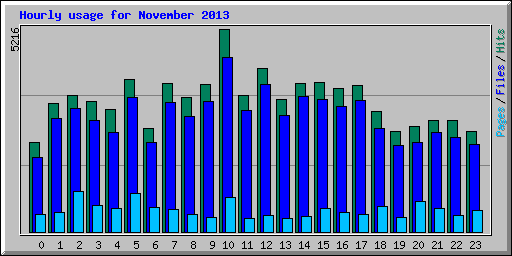 Hourly usage for November 2013