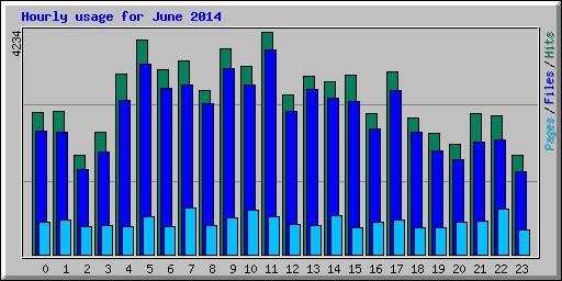 Hourly usage for June 2014
