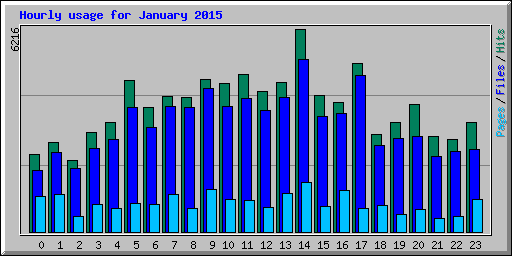 Hourly usage for January 2015