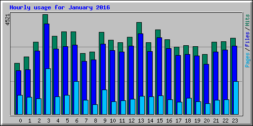 Hourly usage for January 2016