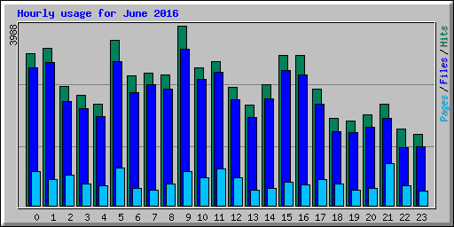Hourly usage for June 2016