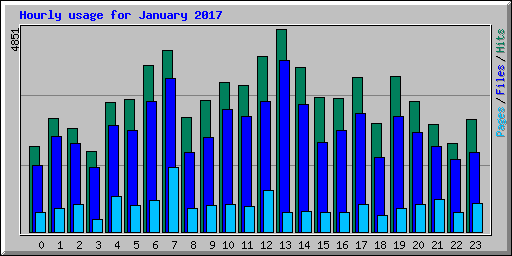 Hourly usage for January 2017