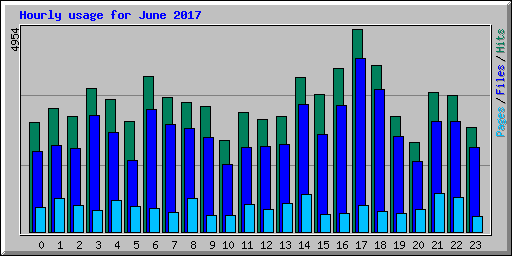Hourly usage for June 2017
