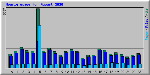 Hourly usage for August 2020