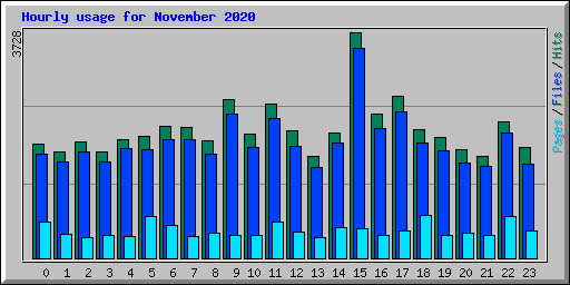 Hourly usage for November 2020