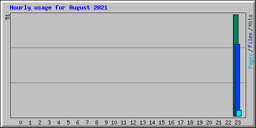 Hourly usage for August 2021