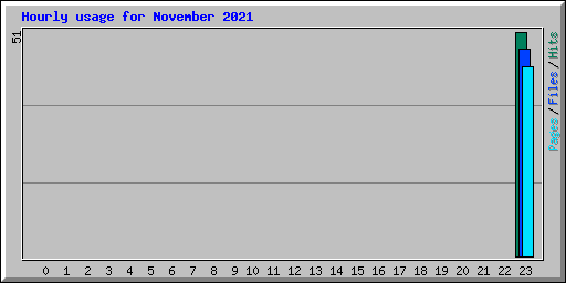 Hourly usage for November 2021