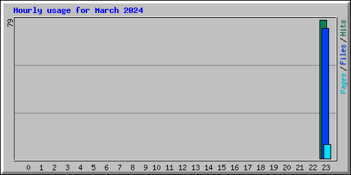 Hourly usage for March 2024