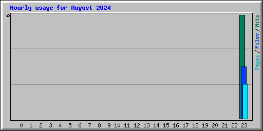 Hourly usage for August 2024