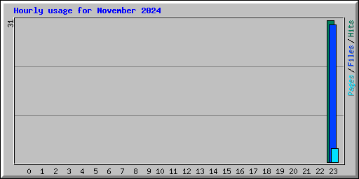 Hourly usage for November 2024