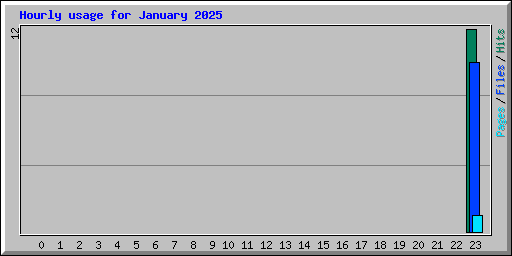 Hourly usage for January 2025