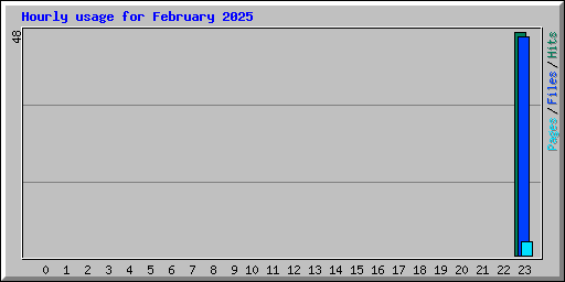 Hourly usage for February 2025